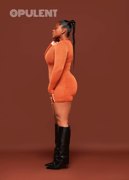 Miss Opulent Sweater Dress Orange